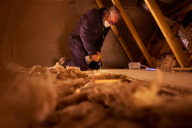 Best Insulation Maintenance and Repair in Fkville, AL